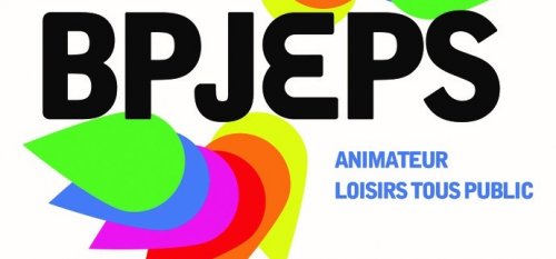 OFFRES DE FORMATIONS FINANCEES PAR LA RÉGION ILE DE FRANCE ANIMATION SOCIALE