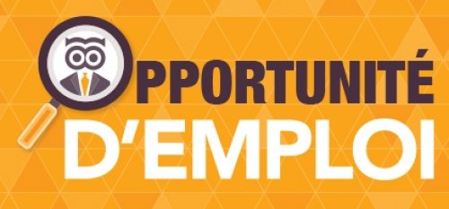Opportunités emploi à saisir