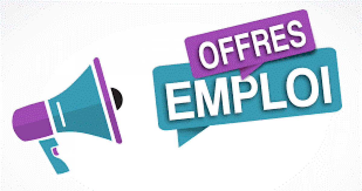 LES OFFRES D'EMPLOI DE LA MLBDM